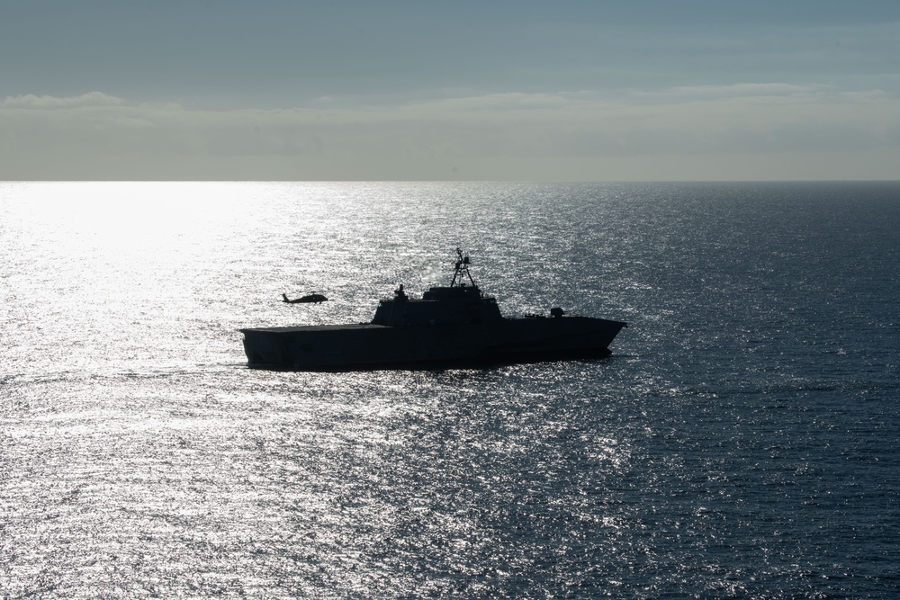 Distant Fury Stallion 23