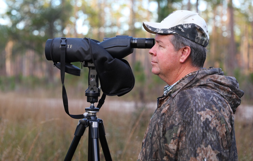 Fort Stewart and Georgia Department of Natural Resources Relocate Endangered Red-Cockaded Woodpeckers