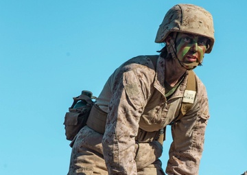 November Company Crucible