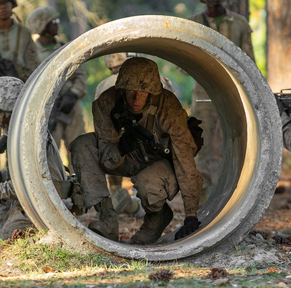 November Company Crucible