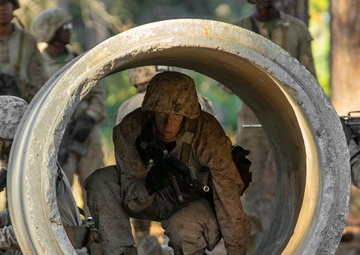 November Company Crucible