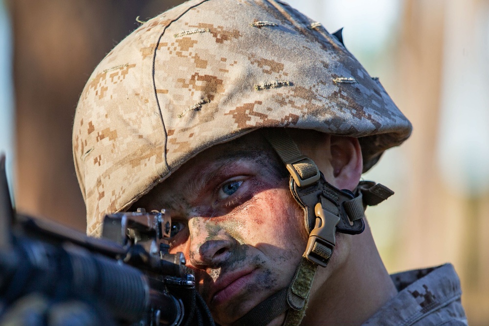 November Company Crucible