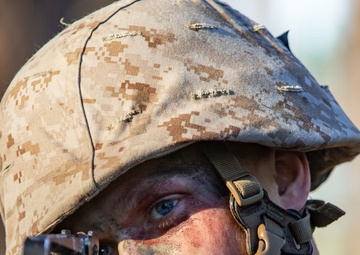 November Company Crucible