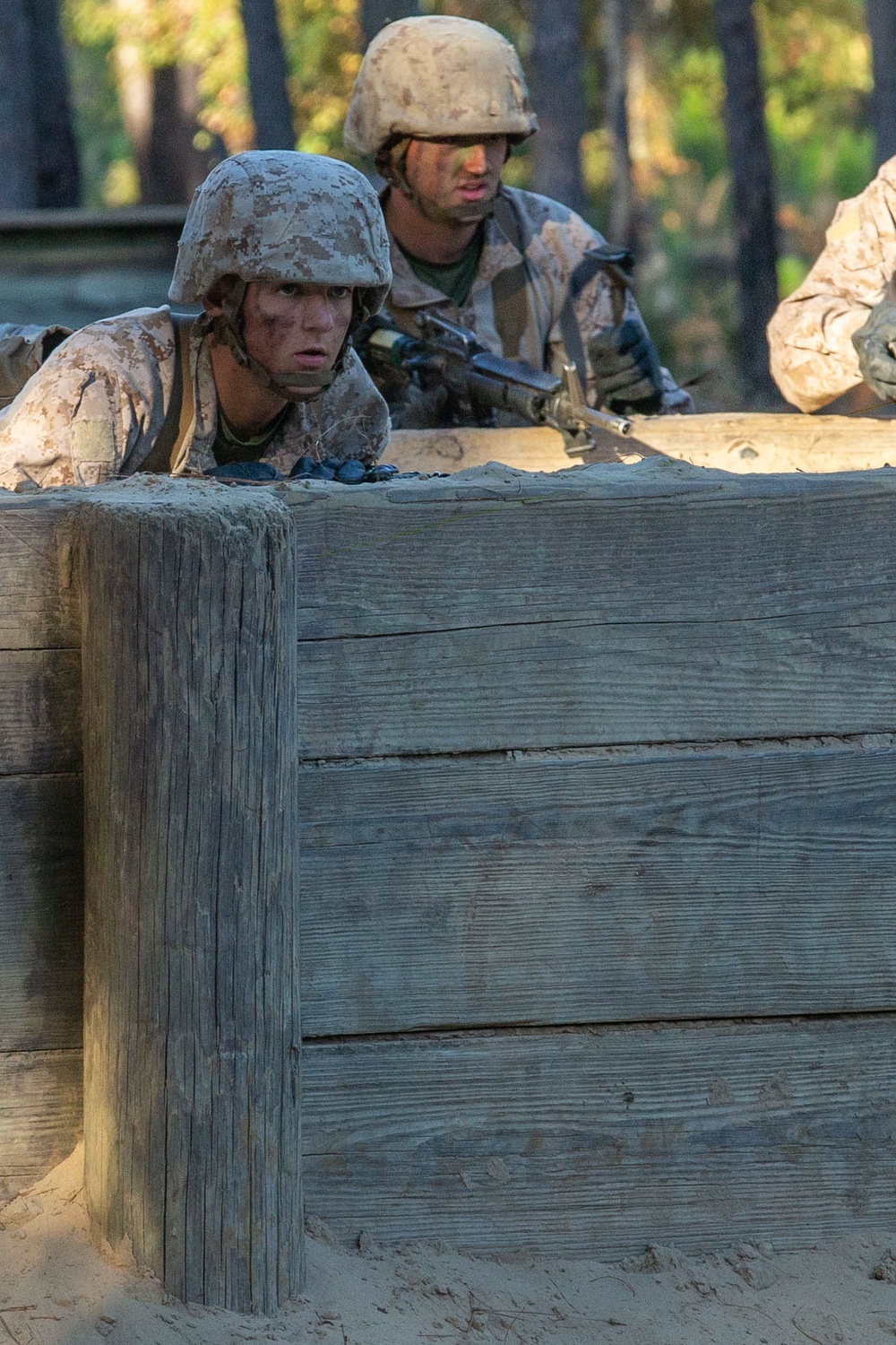 November Company Crucible