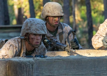 November Company Crucible