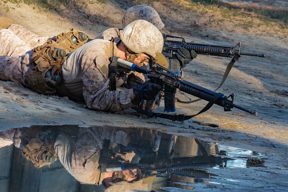 November Company Crucible