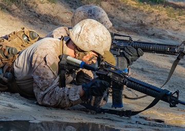 November Company Crucible