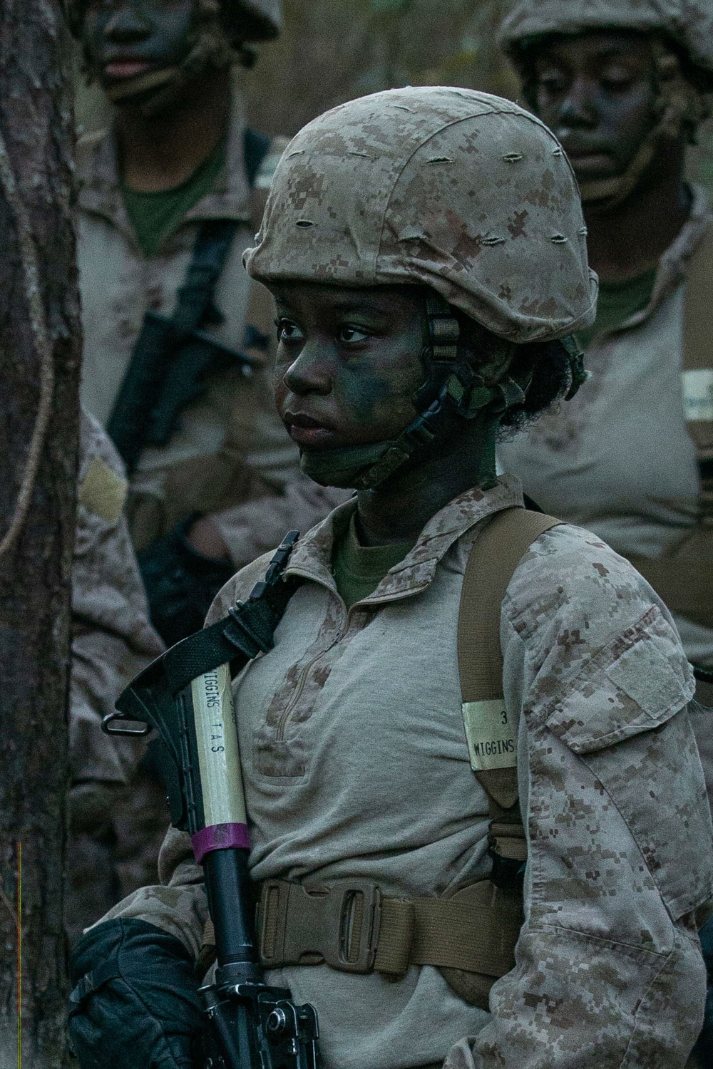 November Company Crucible