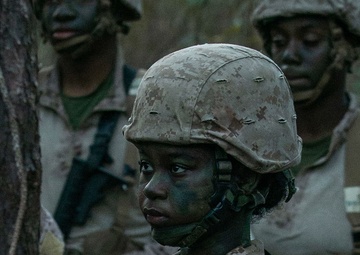 November Company Crucible