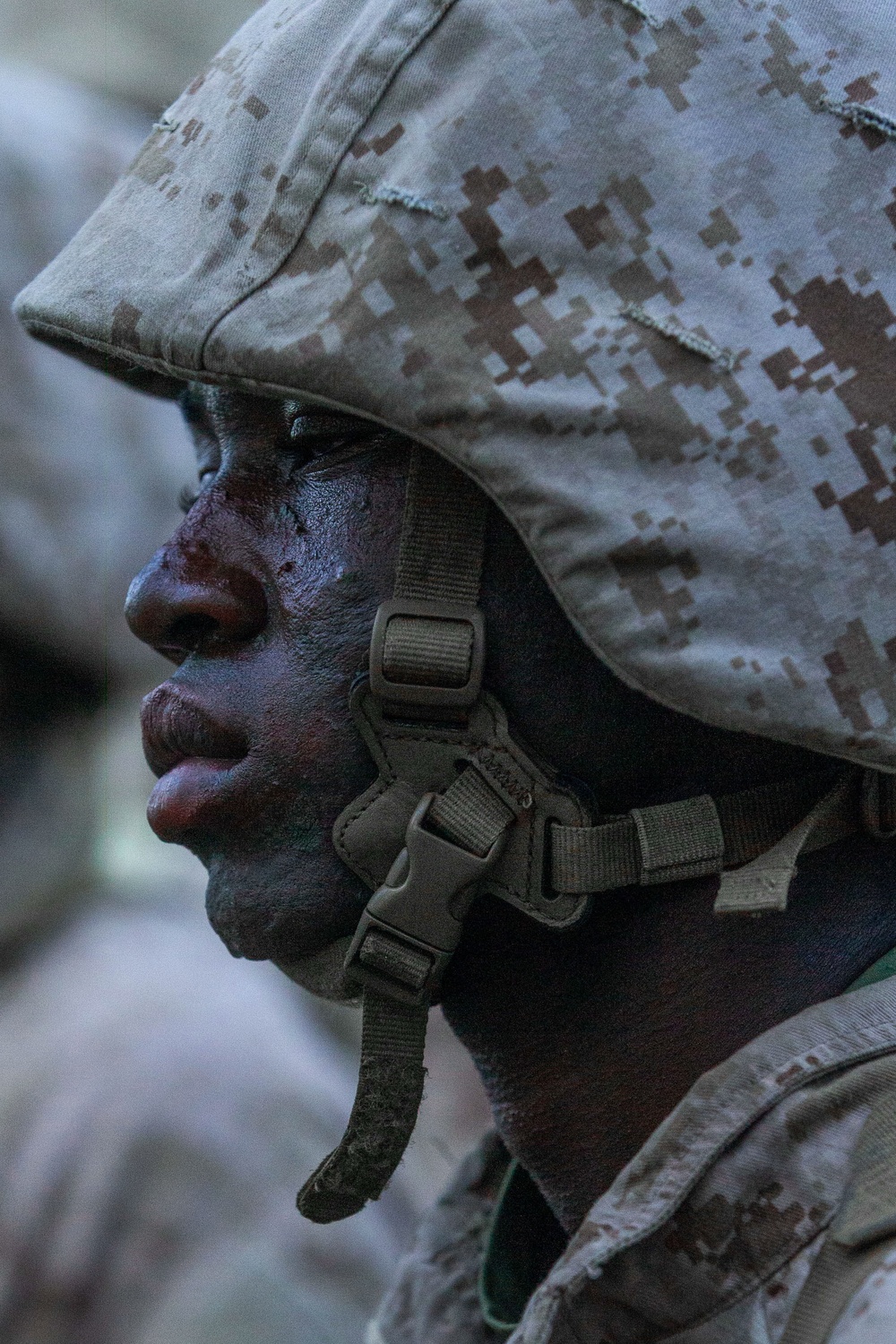 November Company Crucible