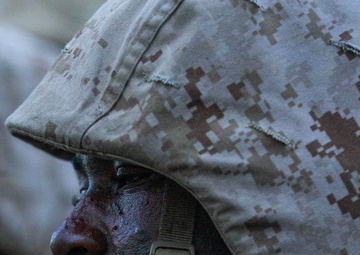 November Company Crucible