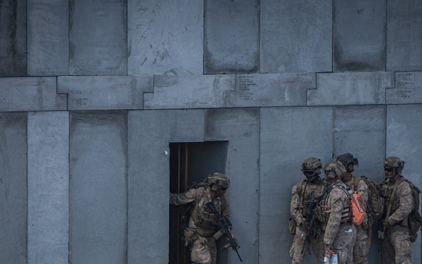 2nd Marine Division participates in a live fire exercise during MDMX