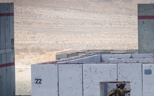 2nd Marine Division participates in a live fire exercise during MDMX