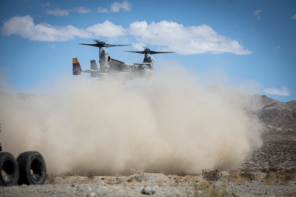 2nd Marine Division participates in a live fire exercise during MDMX
