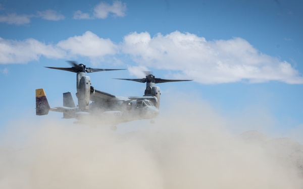 2nd Marine Division participates in a live fire exercise during MDMX