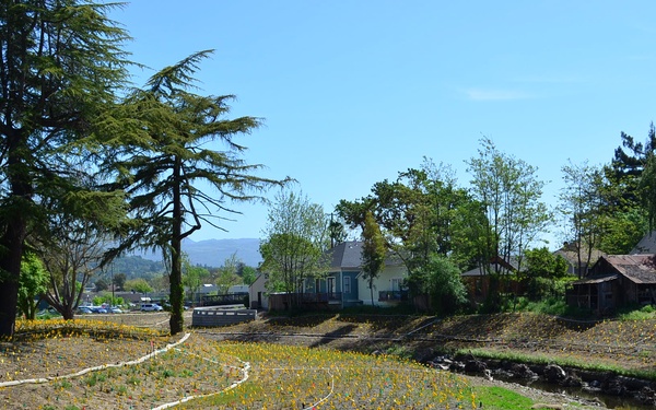 New pedestrian bridge last major phase of Corps’ Napa Creek project