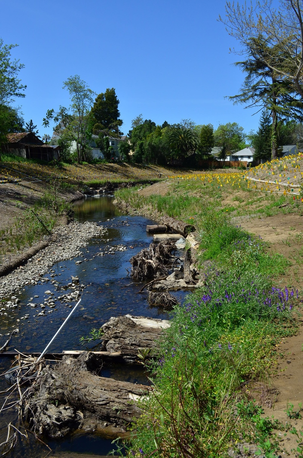 New pedestrian bridge last major phase of Corps’ Napa Creek project