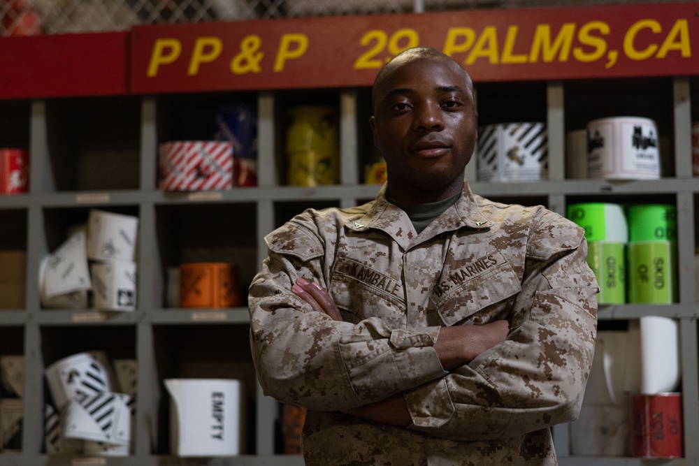 DMO Marines assist permanent personal with packaging and moving