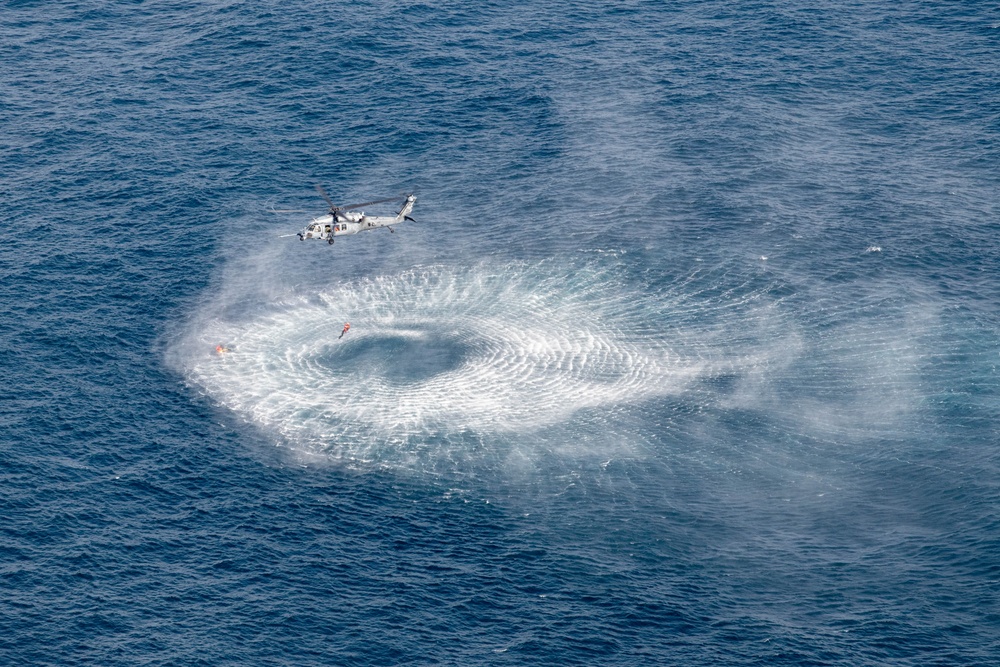 Distant Fury Stallion 23