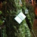 Trees for Troops event onboard Naval Weapons Station Yorktown