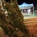 Trees for Troops event onboard Naval Weapons Station Yorktown