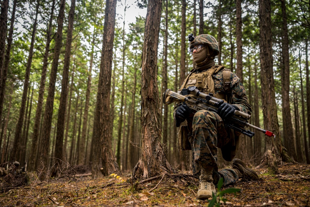 SIFEX | 2nd Battalion 7th Marines