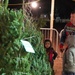 Trees for Troops event onboard Naval Weapons Station Yorktown