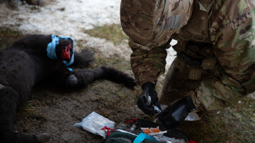 Soldiers Conclude the European Best Medic Competition 2023