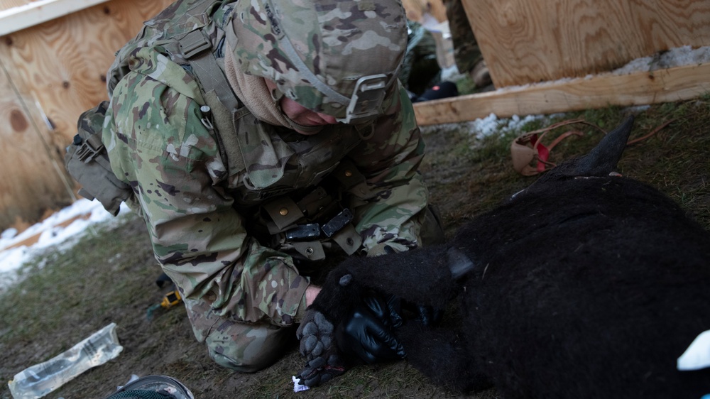 Soldiers Conclude the European Best Medic Competition