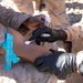 Steel Knight 23.2: 3rd Bn., 4th Marines conducts Valkyrie training