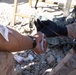 Steel Knight 23.2: 3rd Bn., 4th Marines conducts Valkyrie training