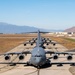 C-17 Globemaster III Elephant Walk