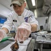 10th Mountain Division culinary specialists test their skills at Chef of the Quarter cookoff