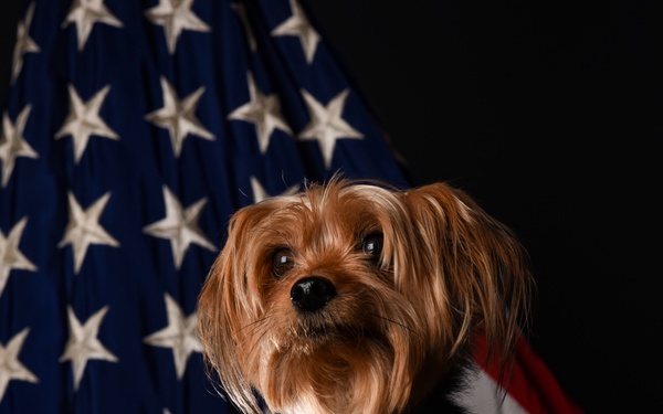 Incirlik's Littlest Chief: A Pawsitive Step Forward for Air Base Policy
