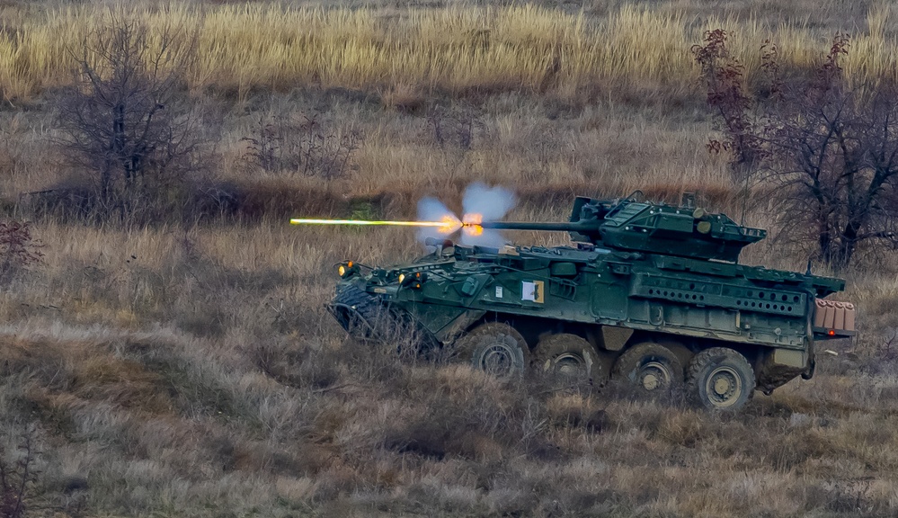 2nd Cavalry Regiment demonstrates live-fire capabilities for distinguished visitors