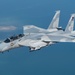 Qatar Emiri Air Force F-15E Strike Eagles participate in Exercise Sky Shield