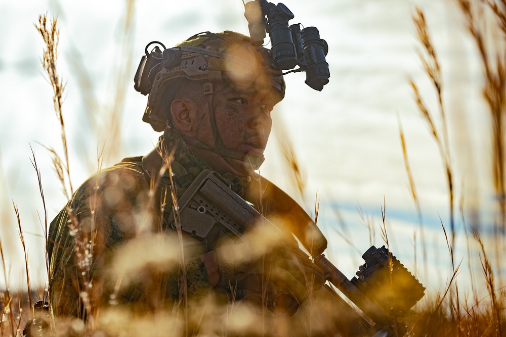 DVIDS - Images - 3/2 Marines Conduct Maneuver Element Training [Image 3 ...