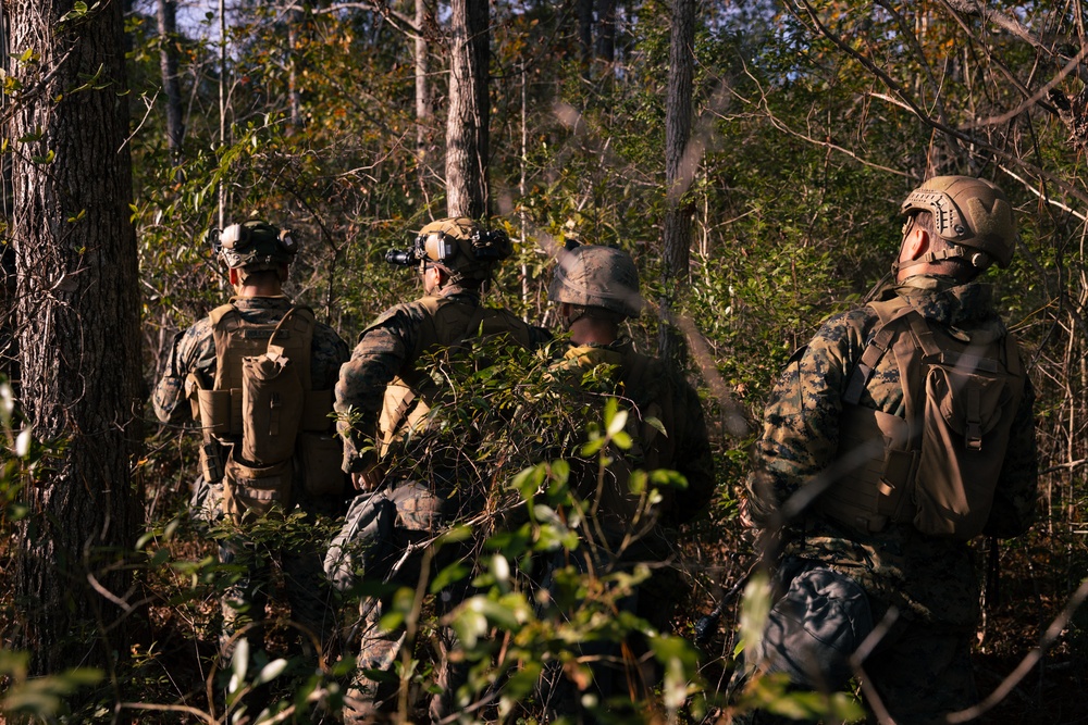 DVIDS - Images - 3/2 Marines Conduct Maneuver Element Training [Image 7 ...