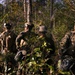 3/2 Marines Conduct Maneuver Element Training