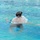 Best Combat Diver Competition 2023