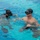 Best Combat Diver Competition 2023