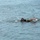 Best Combat Diver Competition 2023