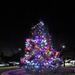 Hundreds attend Fort McCoy’s 2023 Christmas Tree Lighting event to kick-off holiday season