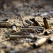 U.S. Marines with 1/25 Conduct Annual Rifle Qualifications during a Field Exercise