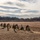 U.S. Marines with 1/25 conduct annual rifle qualifications during a field exercise U.S. Marines with 1/25 conduct annual rifle qualifications during a field exercise