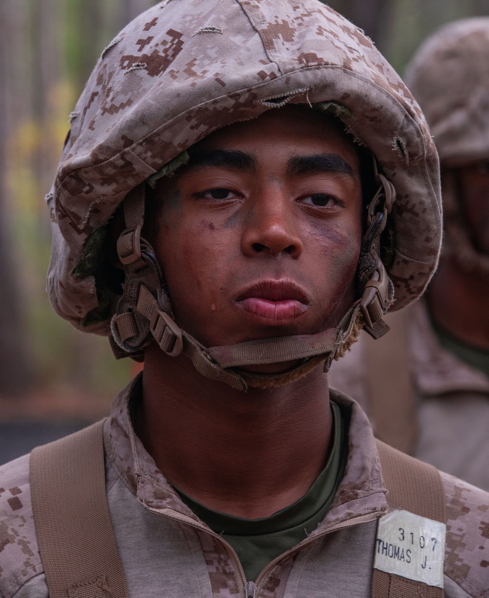 November Company Crucible