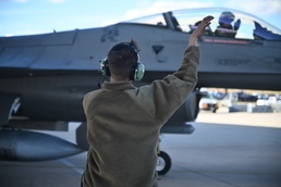 Reps and sets: the Gamblers and Tigers train surge week