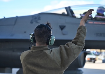 Reps and sets: the Gamblers and Tigers train surge week