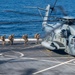 Somerset Super Stallion
