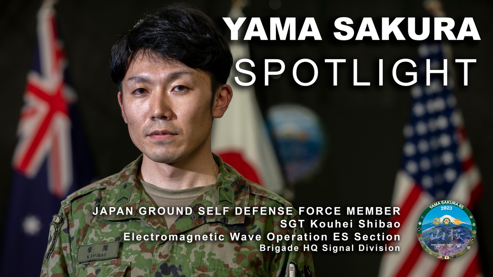 Yama Sakura 85 Spotlight